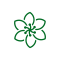 cropped-noun_Flower_2311259-1-1.png cropped-noun_Flower_2311259-1-1.png